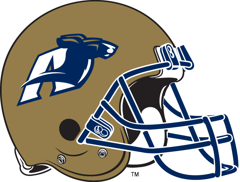 Akron Zips 2003-Pres Helmet Logo iron on transfers for T-shirts